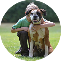 Un petit garçon faisant un câlin à un chien